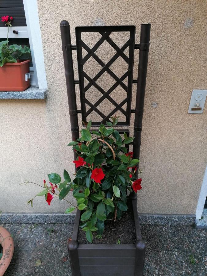 Le Palme Otel Monteceneri Dış mekan fotoğraf